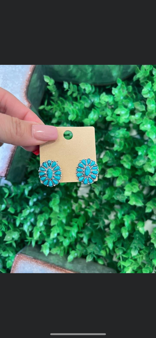 Beautiful Turquoise Earrings